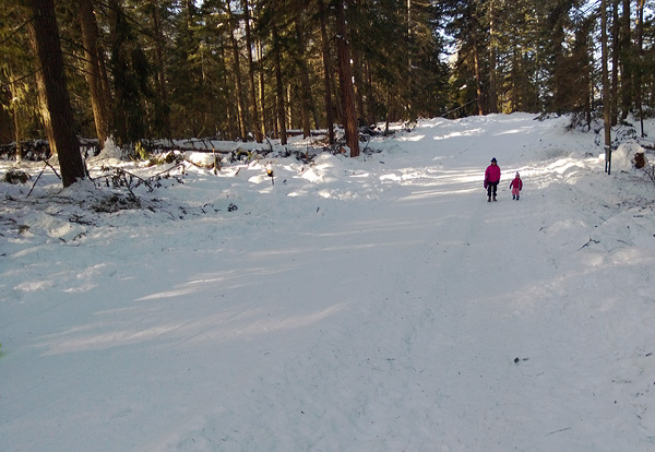 Lake Wenatchee State Park Sno-Park Sled Hill sledding looking downhill