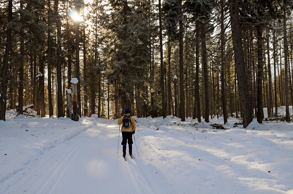 Lake Wenatchee State Park Sno-Park north groomed cross-country nordic ski trail system sun through trees