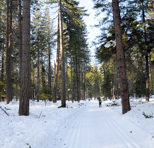Lake Wenatchee State Park Sno-Park north groomed cross-country nordic ski trail system