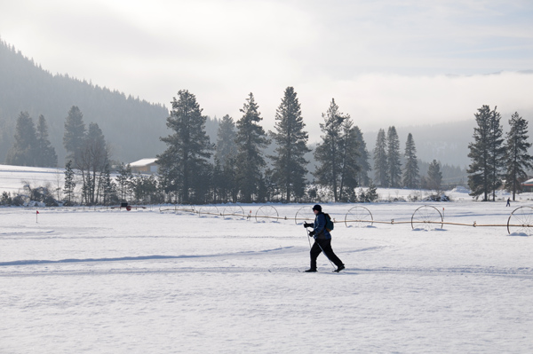 Plain Valley Nordic Ski Trails cross-country skier